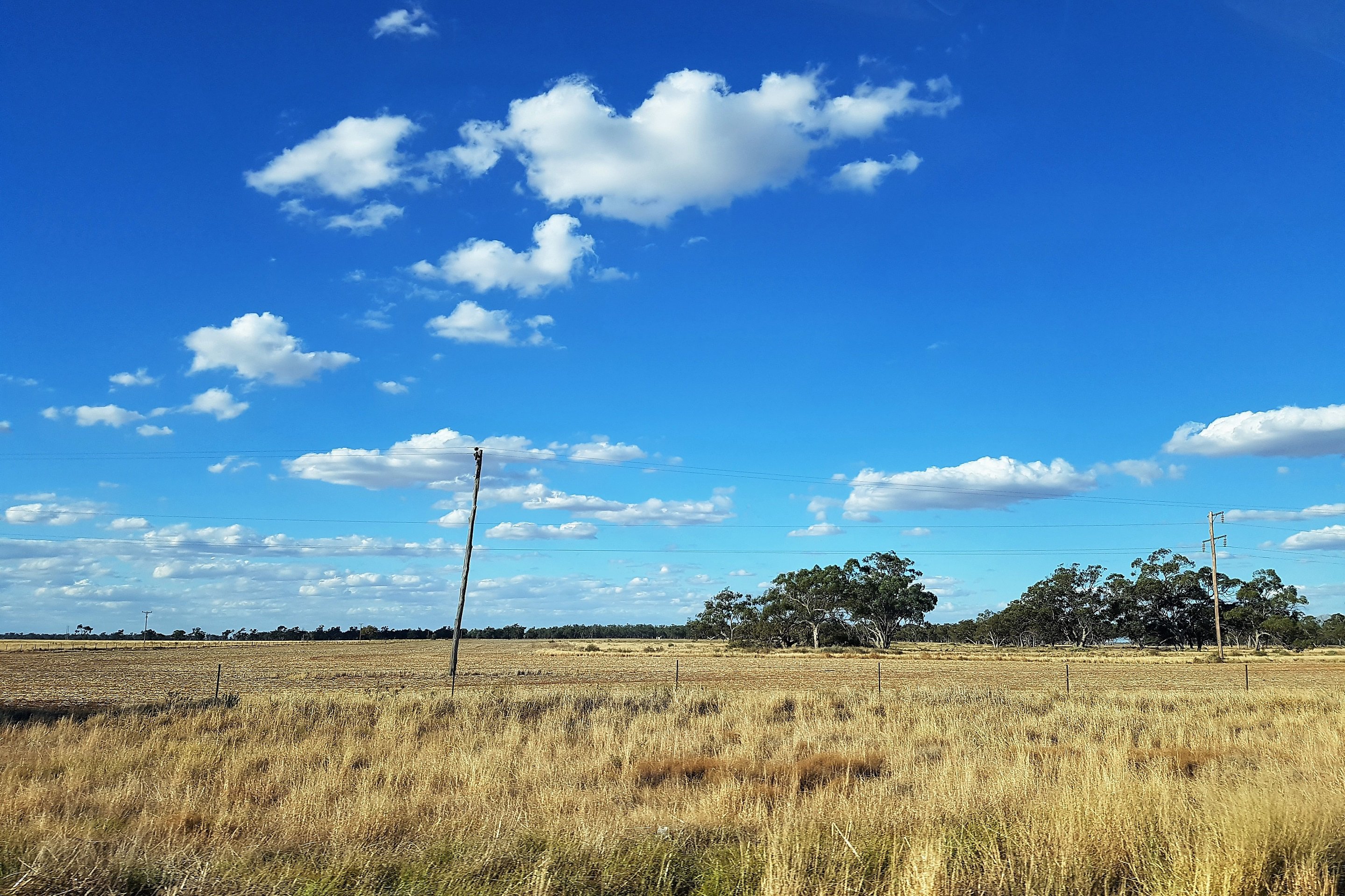 MEDIA RELEASE: Epuron sells 132MWp Nevertire Solar Farm to Elliot Green ...